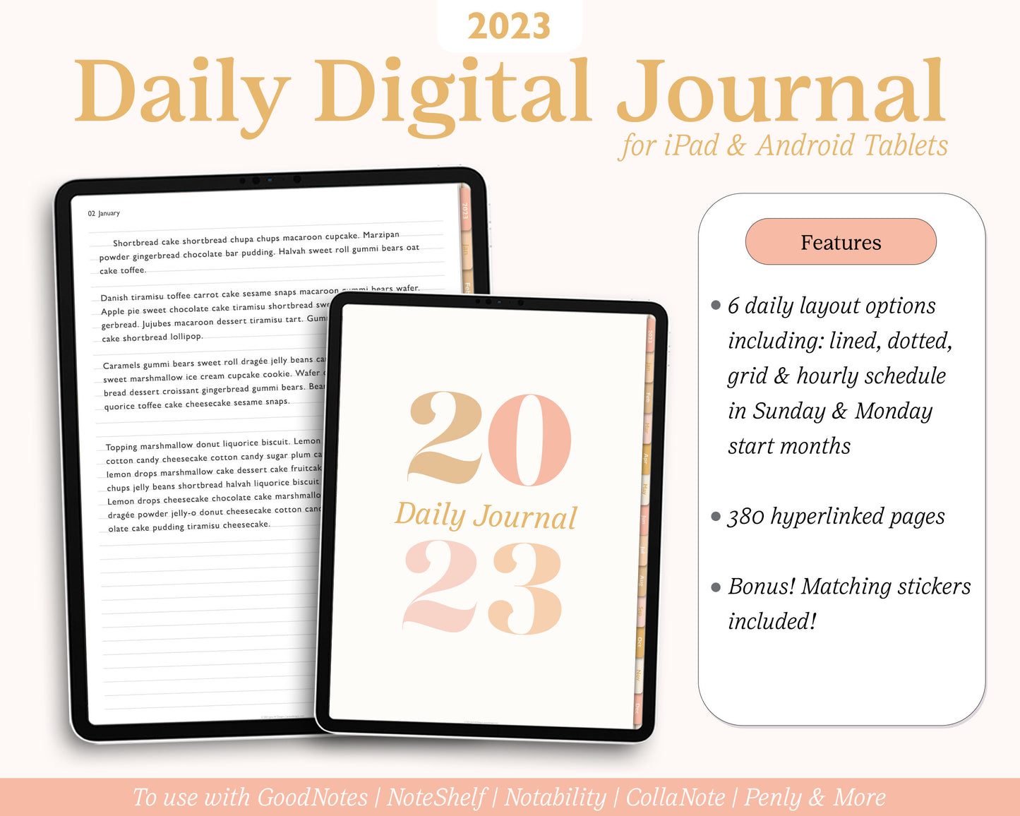 2023 Daily Journal